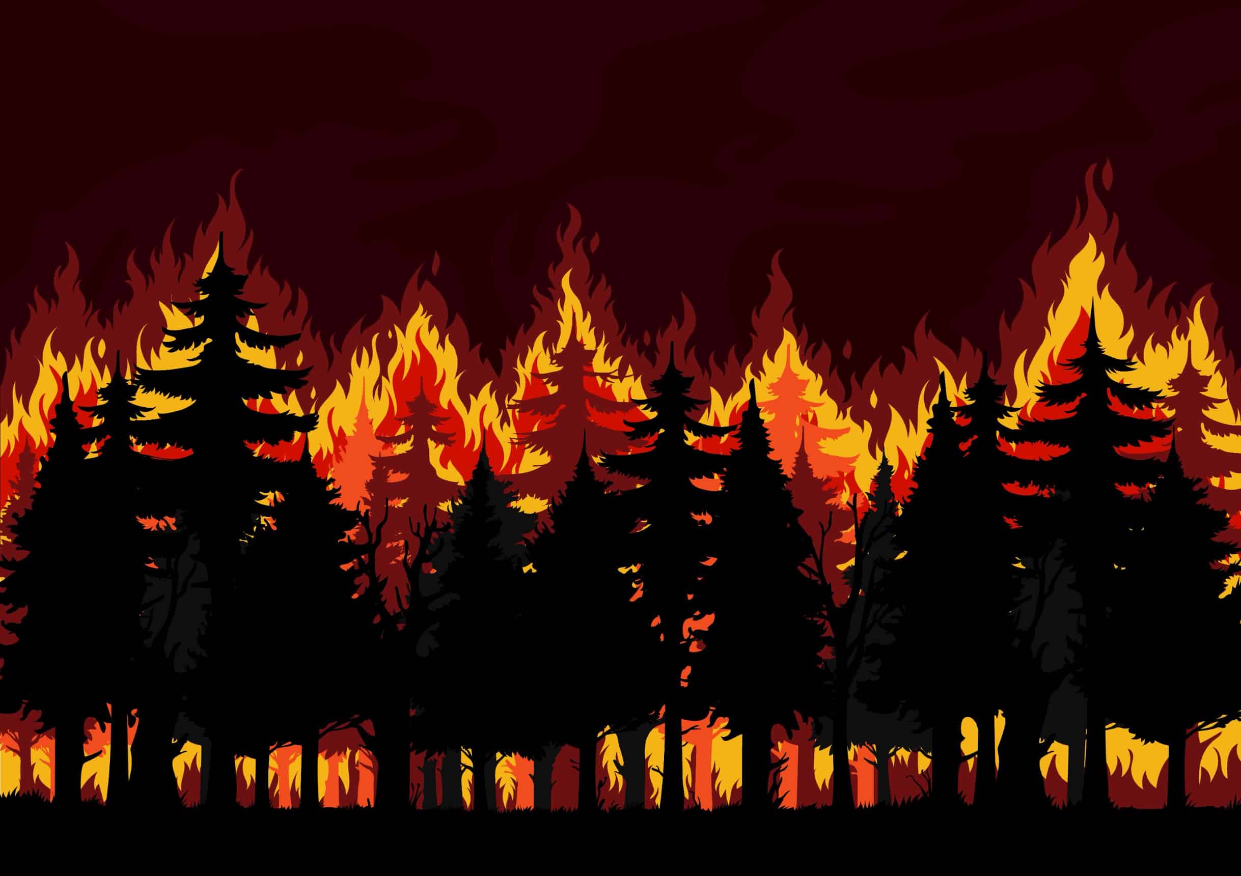 Forest fire