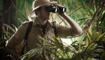 Expert explorer in the jungle