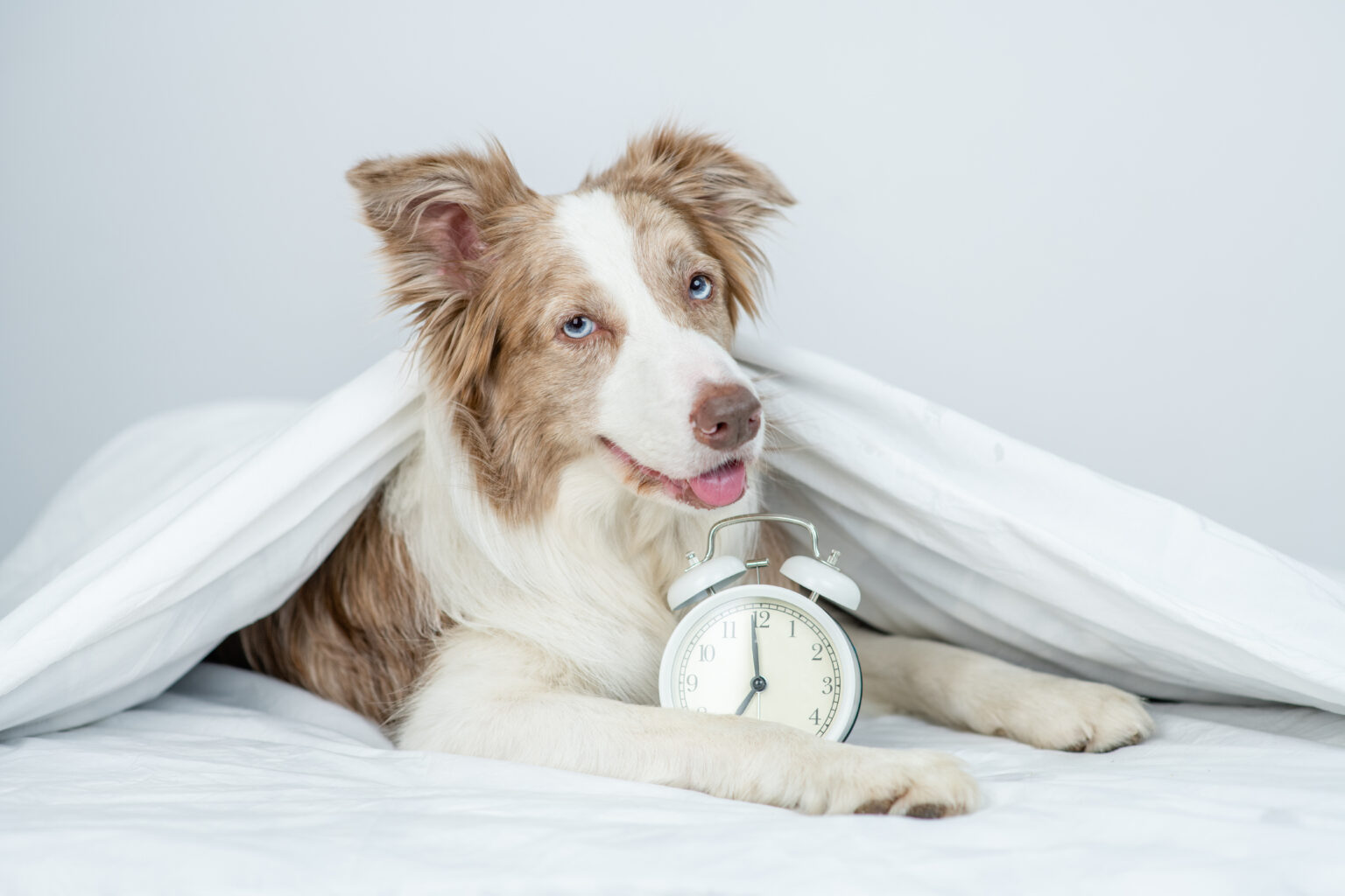 S3 Encryption at Rest Does NOT Solve for Bucket Negligence Last Week