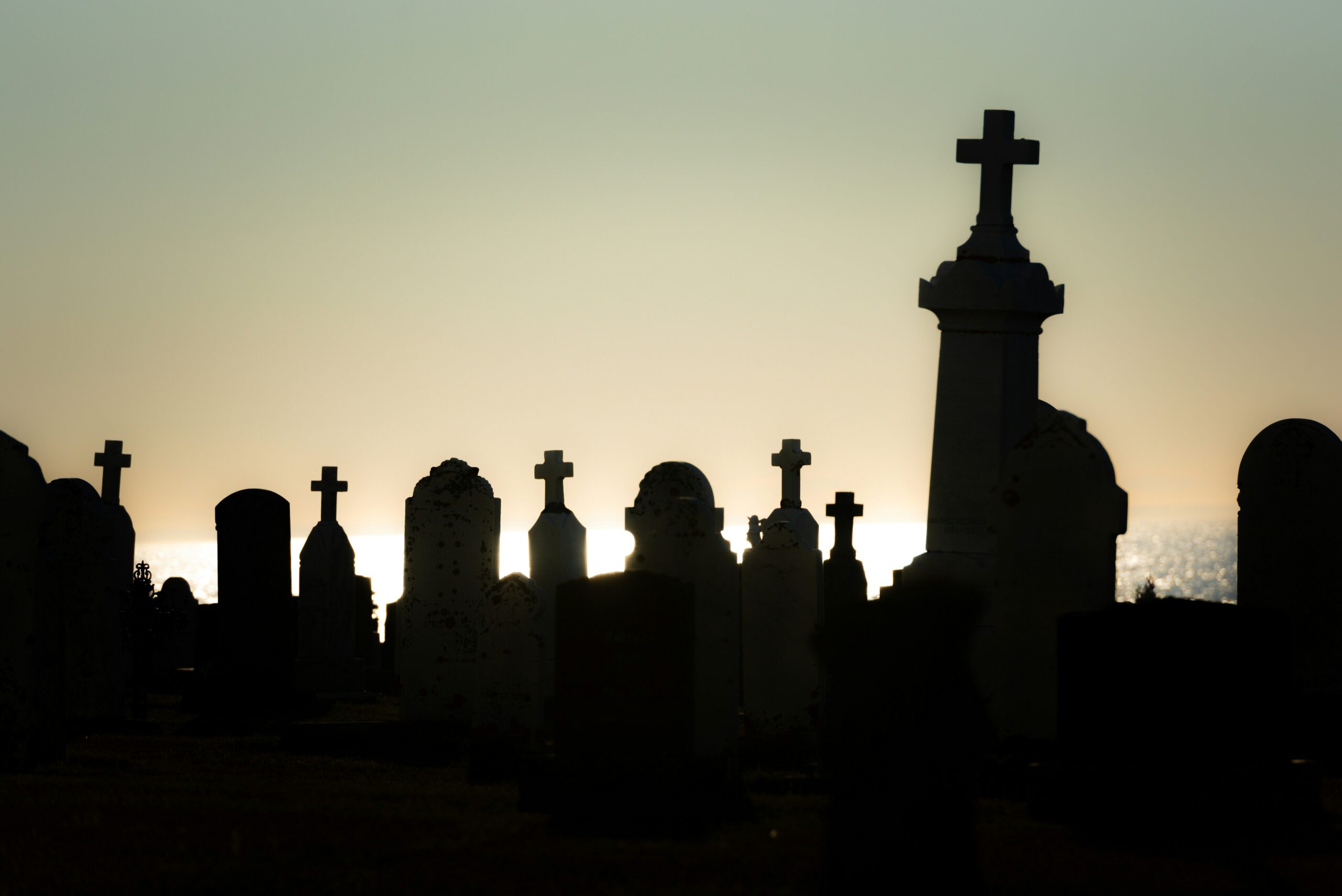 Photo by JF Martin on Unsplash